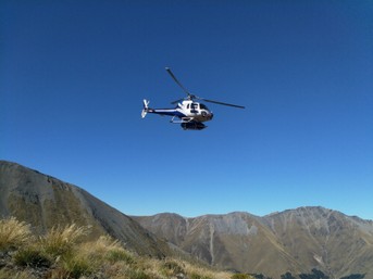 Top Of The Lake Guiding - Glenorchy NZ - Alpine Heli hike
