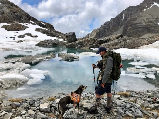 Millie checking out the chill area Millie checking out the chill area