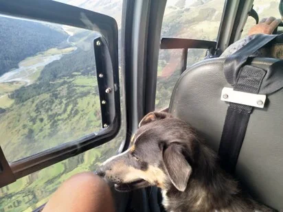 Millie's first helicopter trip