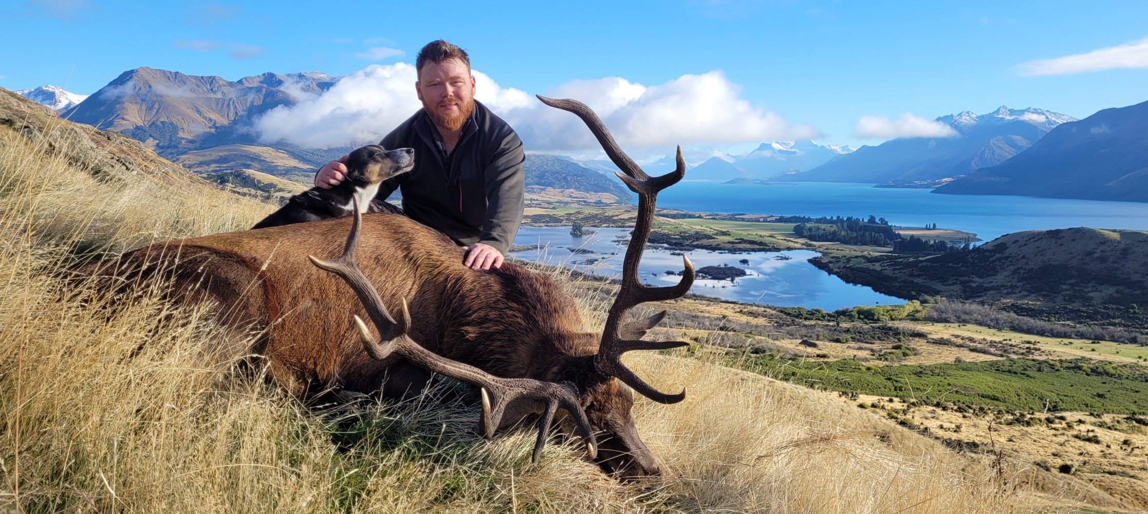 Top Of The Lake Guiding - Red Stag Trophy Hunt
