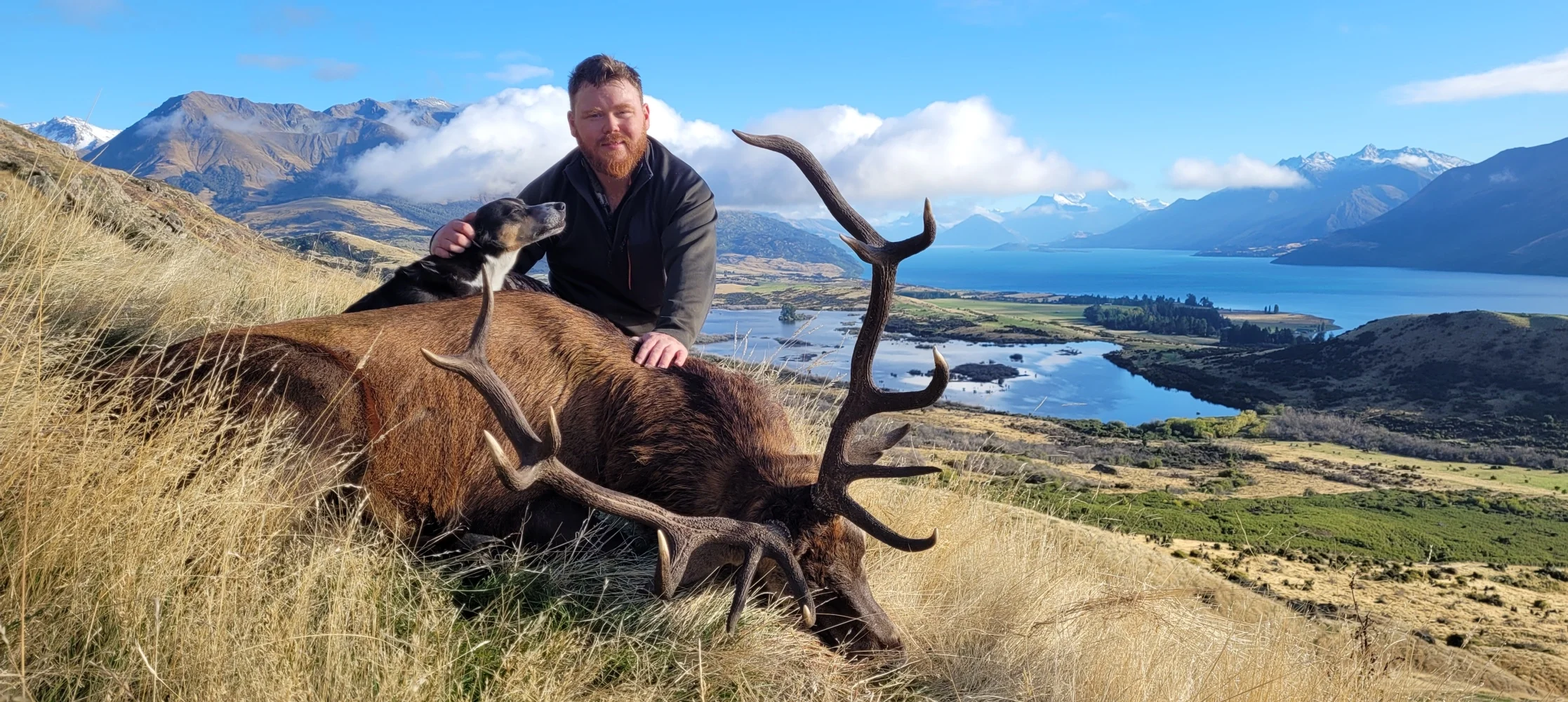 Top Of The Lake Guiding - Red Stag Trophy Hunt