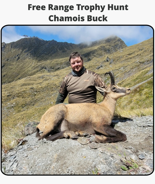 TOTLG Free Range Trophy Hunt - Chamois Buck