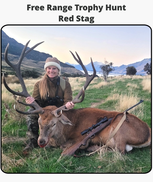 TOTLG Free Range Trophy Hunt - Red Stag
