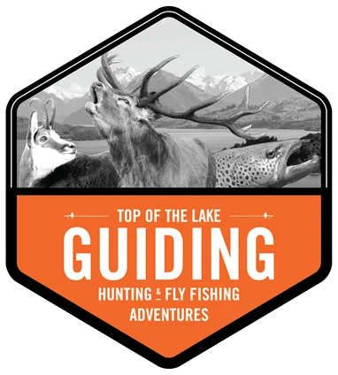 Top Of The Lake Guiding - Glenorchy NZ