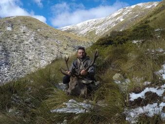 The stag from the roar